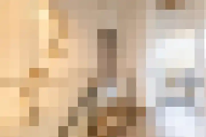 Alexanderstraat 5 Groningen thumbnail 33