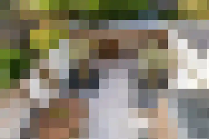 Alexanderstraat 5 Groningen thumbnail 37