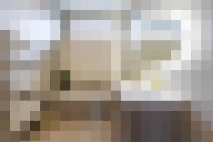 Alexanderstraat 5 Groningen thumbnail 38