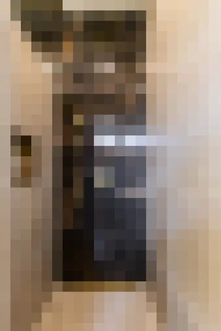 Alexanderstraat 5 Groningen thumbnail 39