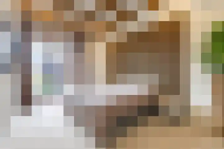 Alexanderstraat 5 Groningen thumbnail 4
