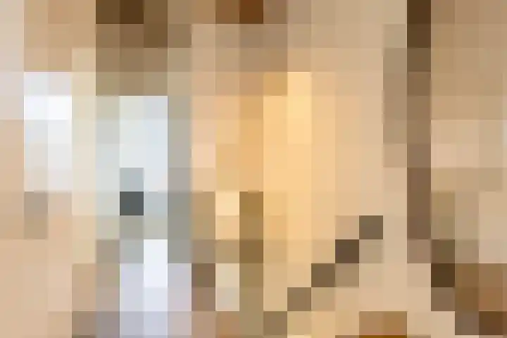 Alexanderstraat 5 Groningen thumbnail 41