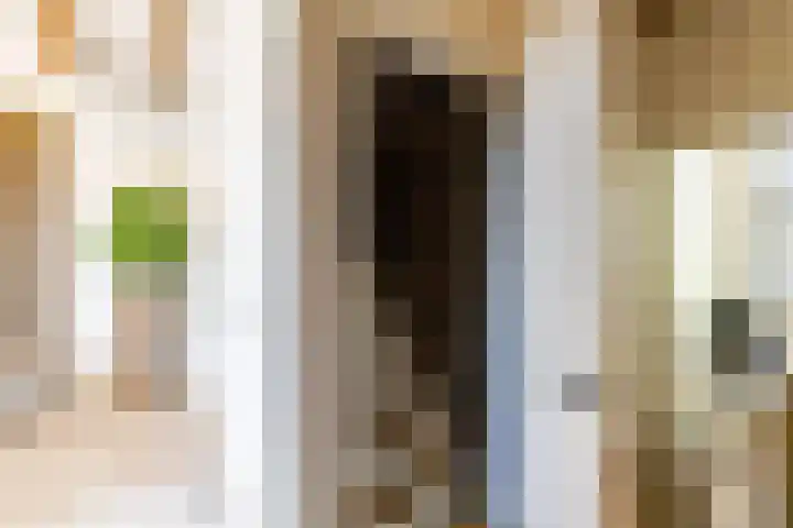 Alexanderstraat 5 Groningen thumbnail 46
