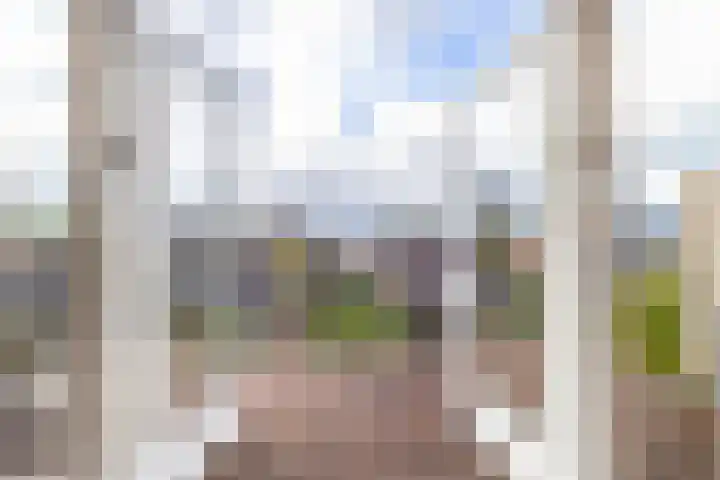 Alexanderstraat 5 Groningen thumbnail 55