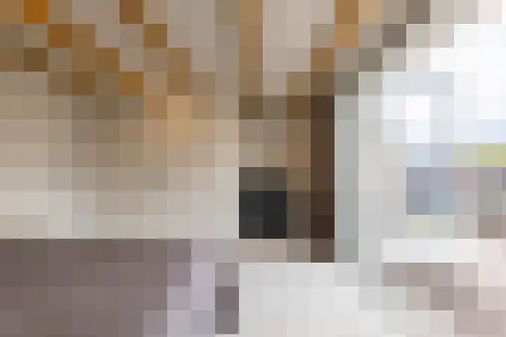 Alexanderstraat 5 Groningen thumbnail 56