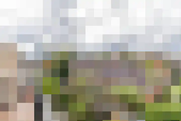 Alexanderstraat 5 Groningen thumbnail 57