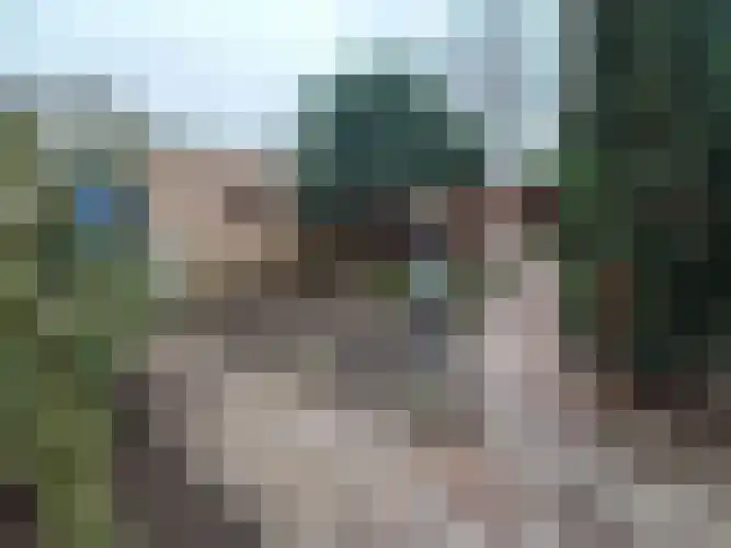 Alexanderstraat 5 Meerlo thumbnail 12