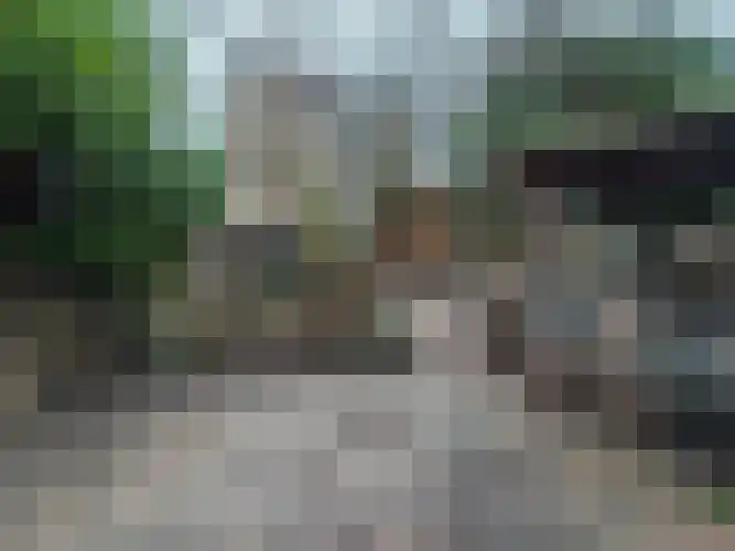 Alexanderstraat 5 Meerlo thumbnail 14