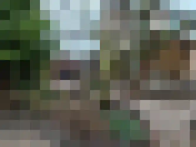 Alexanderstraat 5 Meerlo thumbnail 15