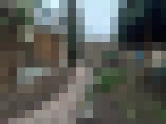 Alexanderstraat 5 Meerlo thumbnail 16
