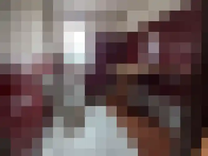Alexanderstraat 5 Meerlo thumbnail 21