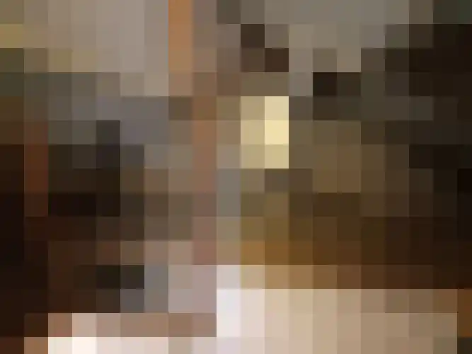 Alexanderstraat 5 Meerlo thumbnail 24