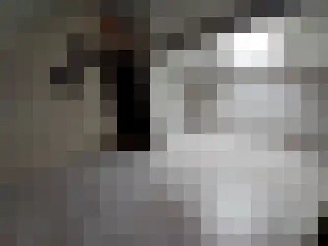 Alexanderstraat 5 Meerlo thumbnail 25