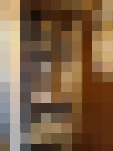 Alexanderstraat 5 Meerlo thumbnail 4
