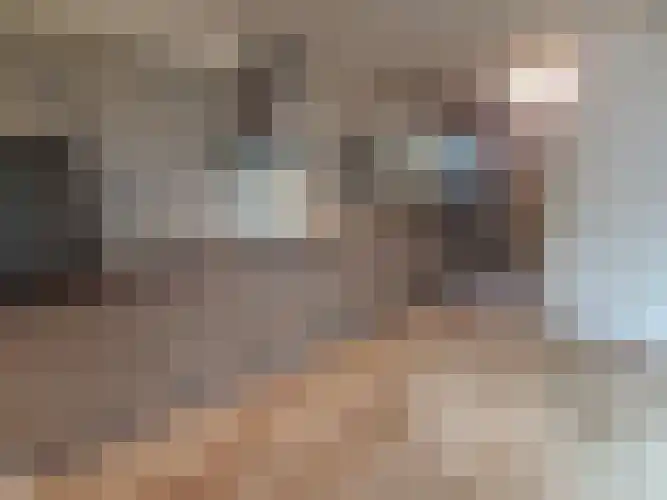 Alexanderstraat 5 Meerlo thumbnail 8