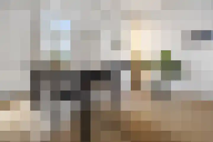 Alexanderstraat 52 Arnhem thumbnail 17