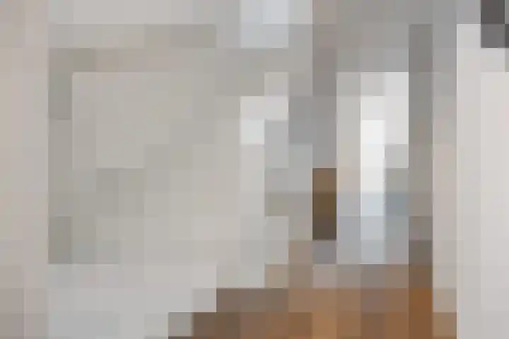 Alexanderstraat 52 Arnhem thumbnail 6
