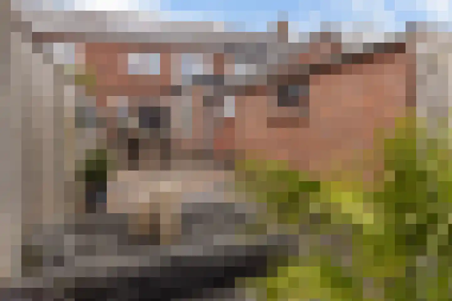 Alexanderstraat 66 Hengelo thumbnail 39