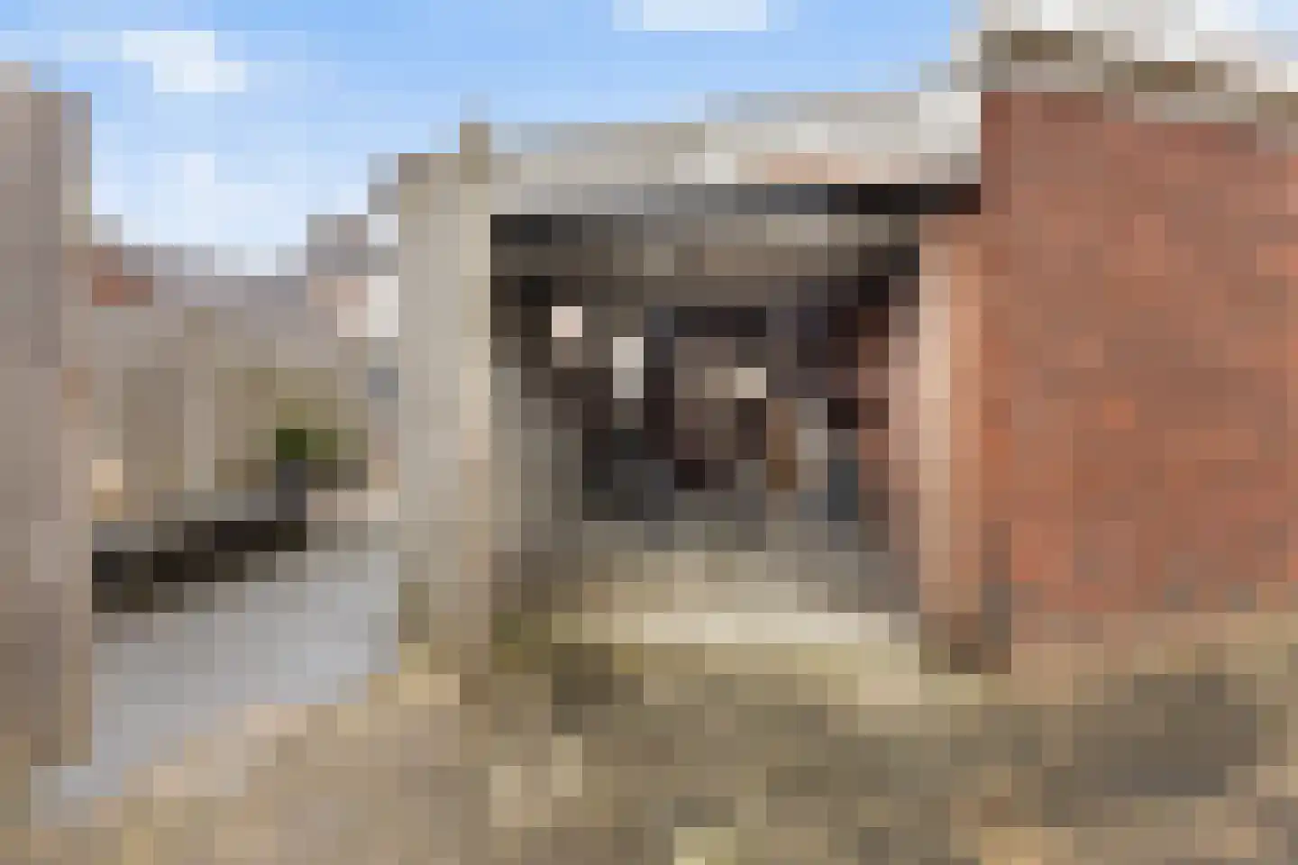 Alexanderstraat 66 Hengelo thumbnail 40