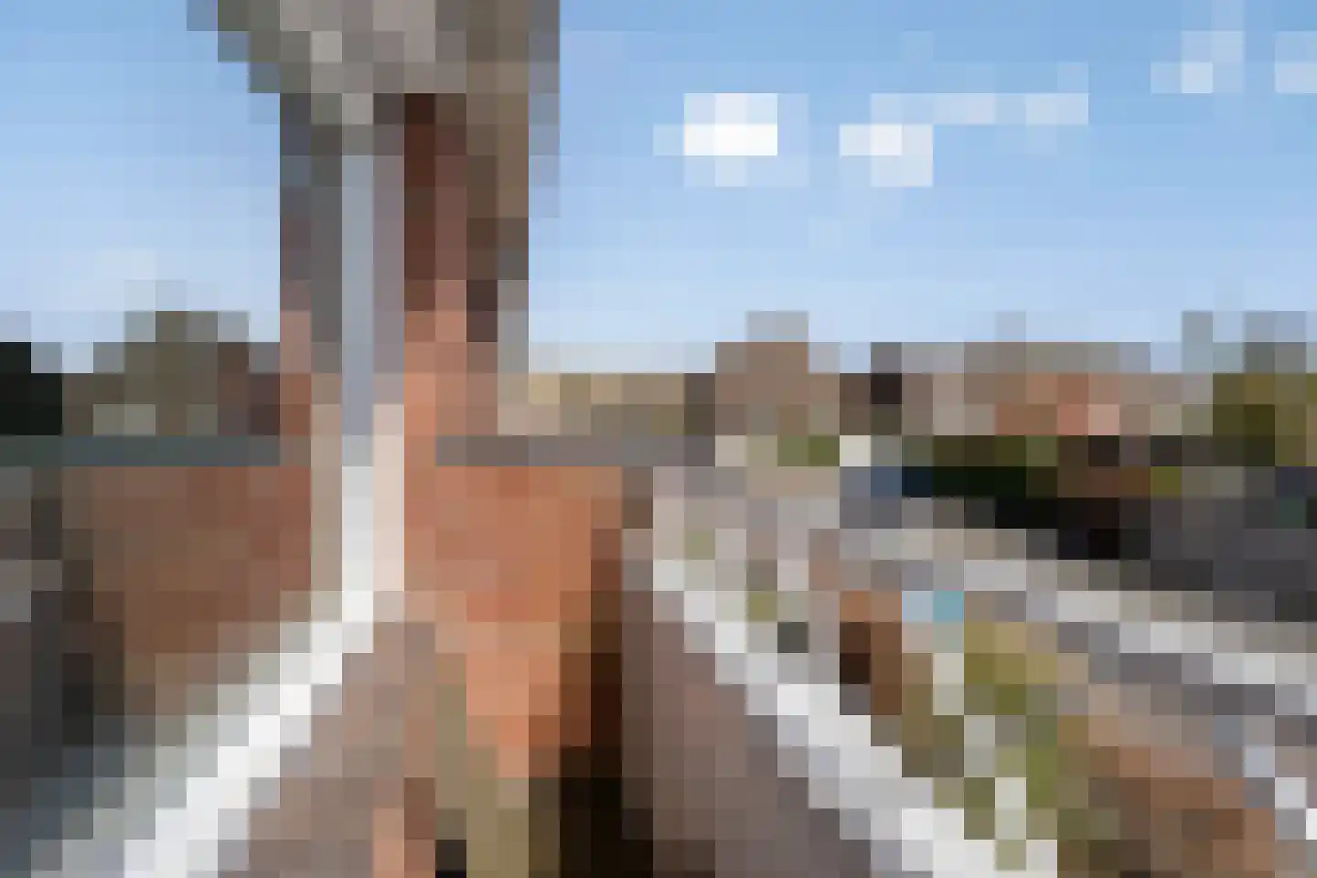 Alexanderstraat 68 Hengelo thumbnail 19