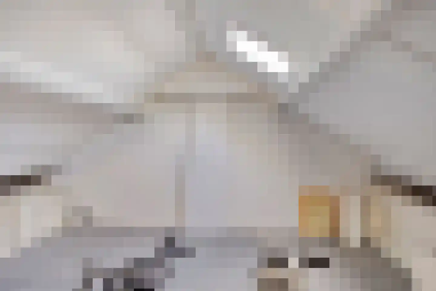 Alexanderstraat 68 Hengelo thumbnail 26
