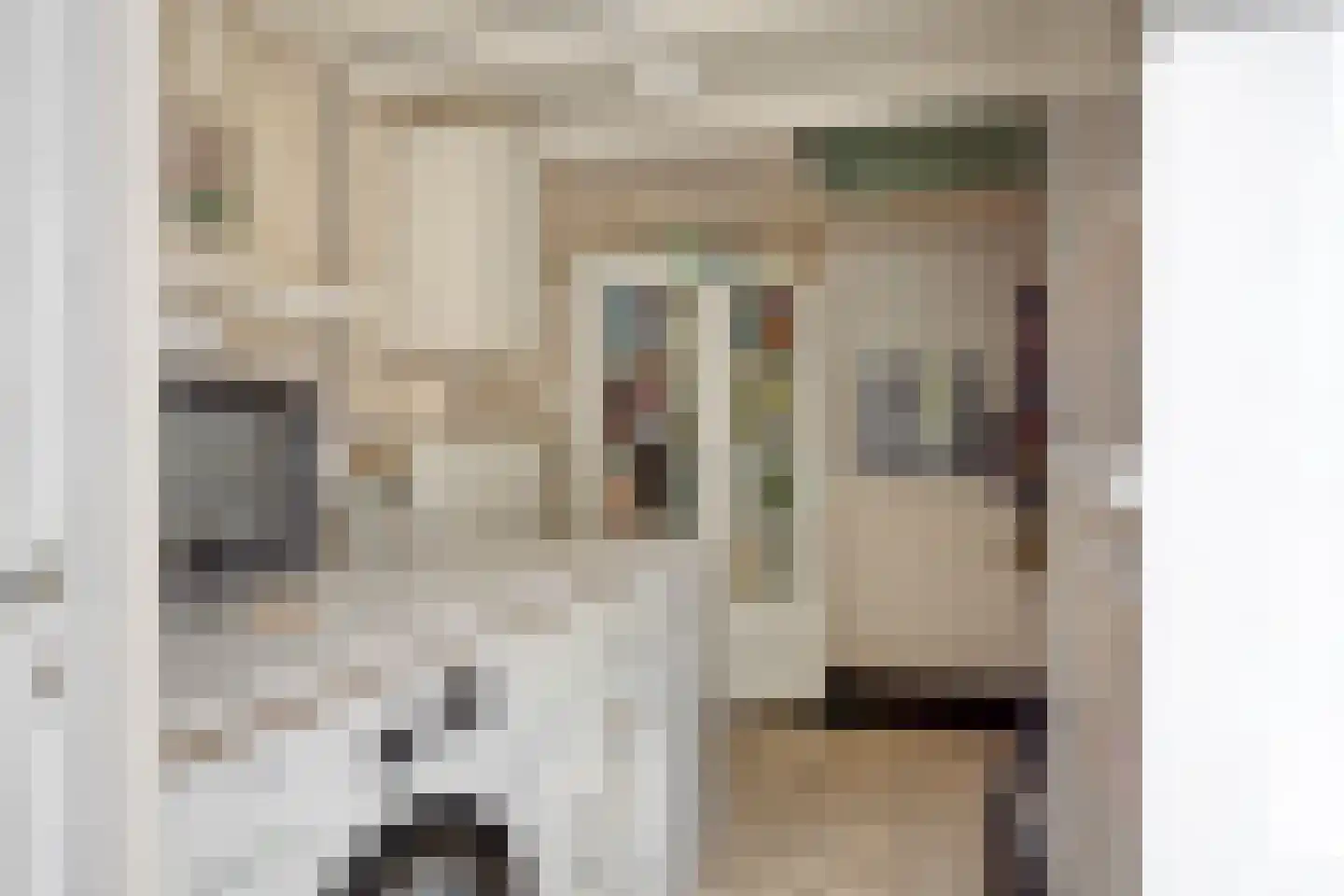 Alexanderstraat 68 Hengelo thumbnail 34