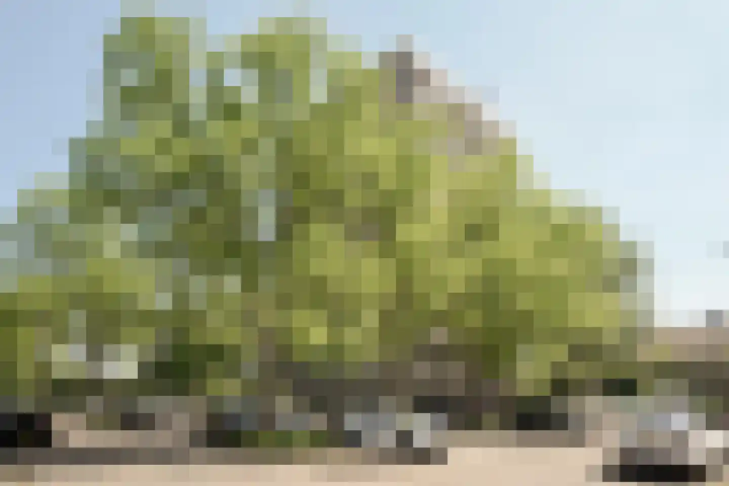 Alexanderstraat 77 Zoetermeer thumbnail 11