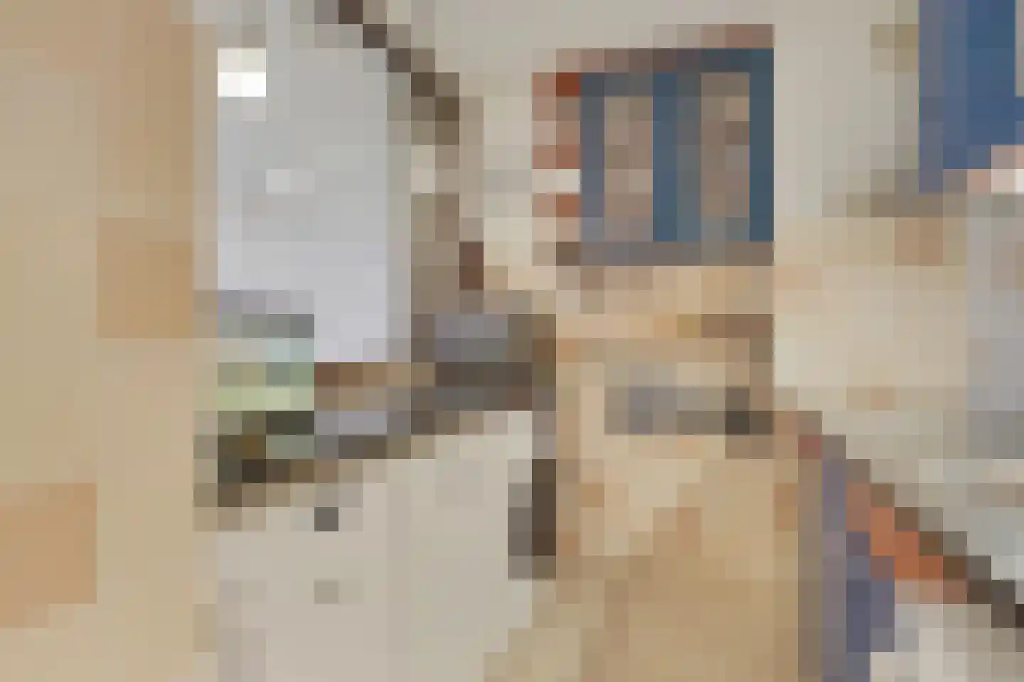 Alexanderstraat 77 Zoetermeer thumbnail 18