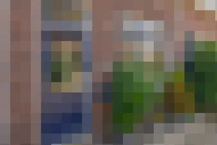 Alexanderstraat 8 Capelle aan den IJssel thumbnail 12