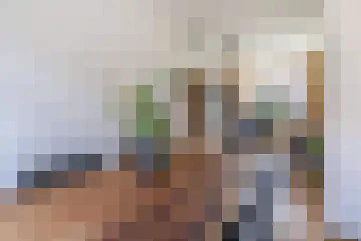 Alexanderstraat 8 Capelle aan den IJssel thumbnail 19