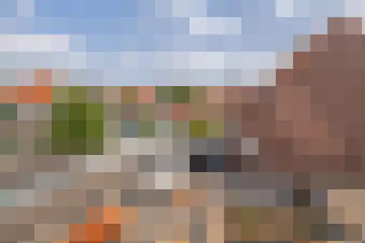 Alexanderstraat 8 Capelle aan den IJssel thumbnail 30