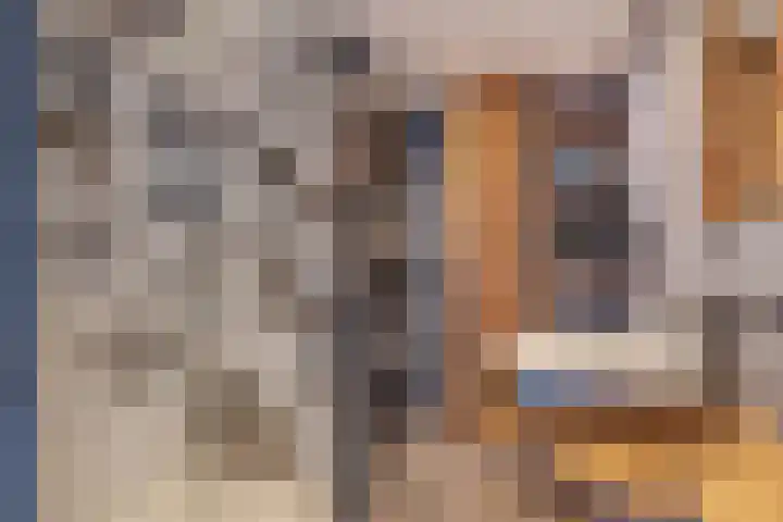 Alexanderstraat 8 Capelle aan den IJssel thumbnail 31
