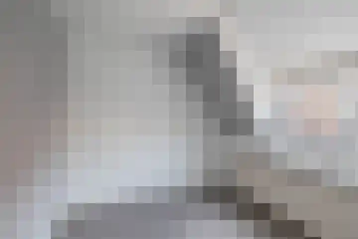 Alexanderstraat 8 Capelle aan den IJssel thumbnail 34