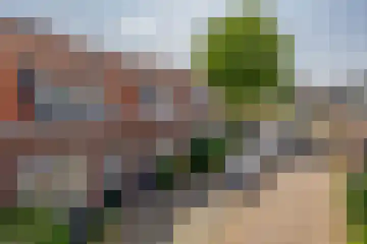 Alexanderstraat 8 Capelle aan den IJssel thumbnail 8