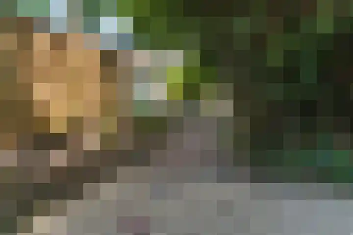 Alexanderstraat 86 Arnhem thumbnail 61