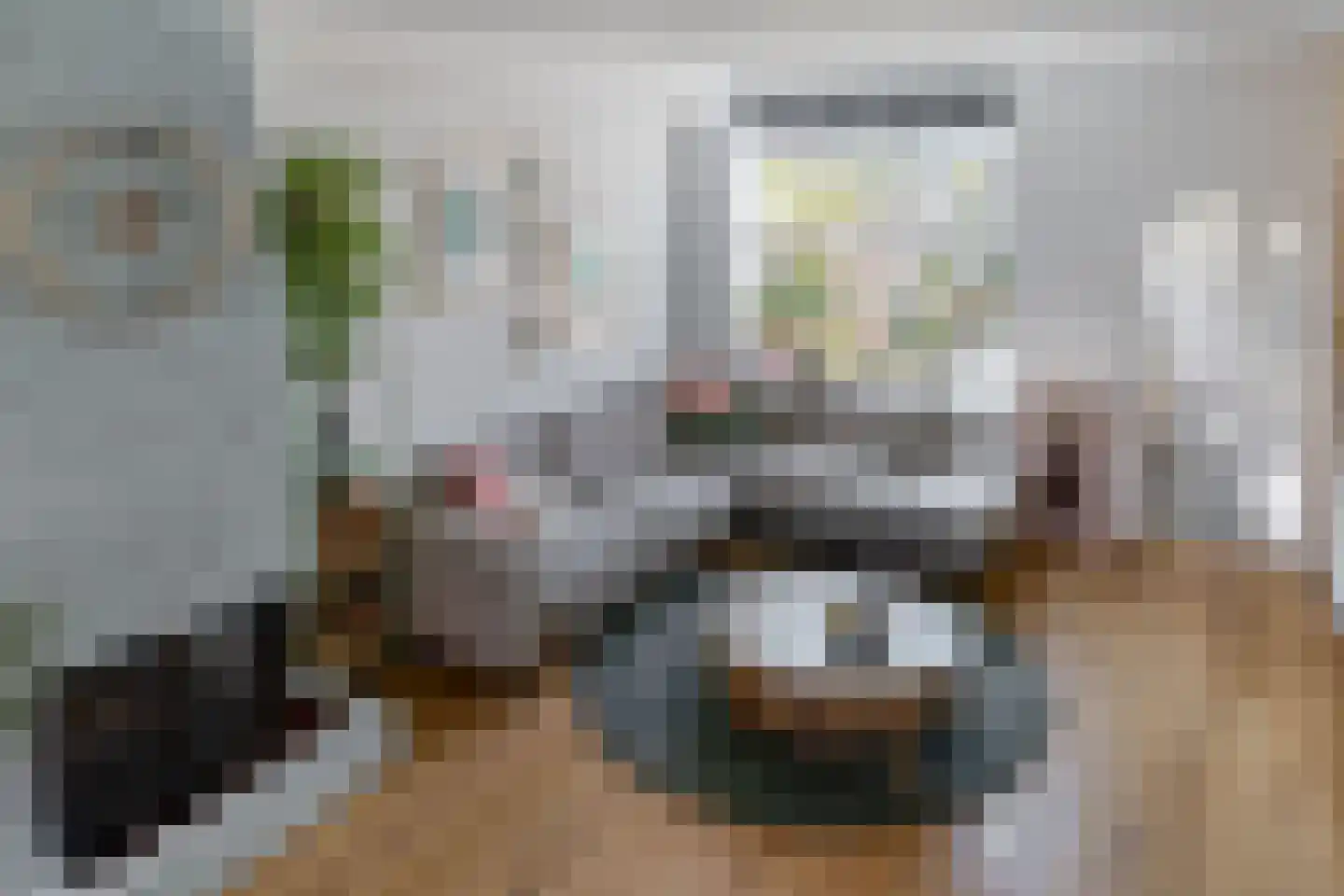 Alexanderstraat 9 Capelle aan den IJssel thumbnail 17
