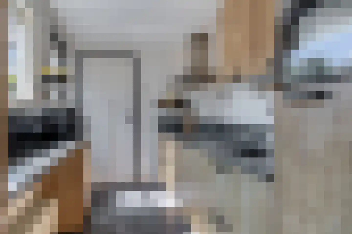 Alexanderstraat 9 Capelle aan den IJssel thumbnail 18