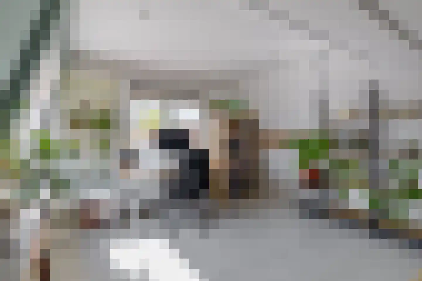Alexanderstraat 9 Capelle aan den IJssel thumbnail 36