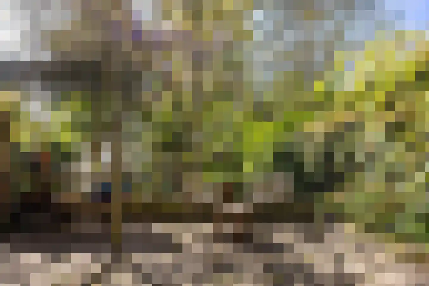 Alexanderstraat 96 Arnhem thumbnail 17