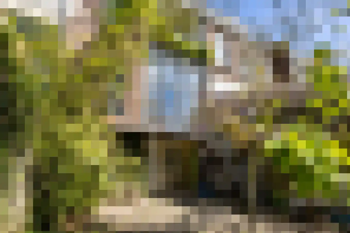 Alexanderstraat 96 Arnhem thumbnail 19