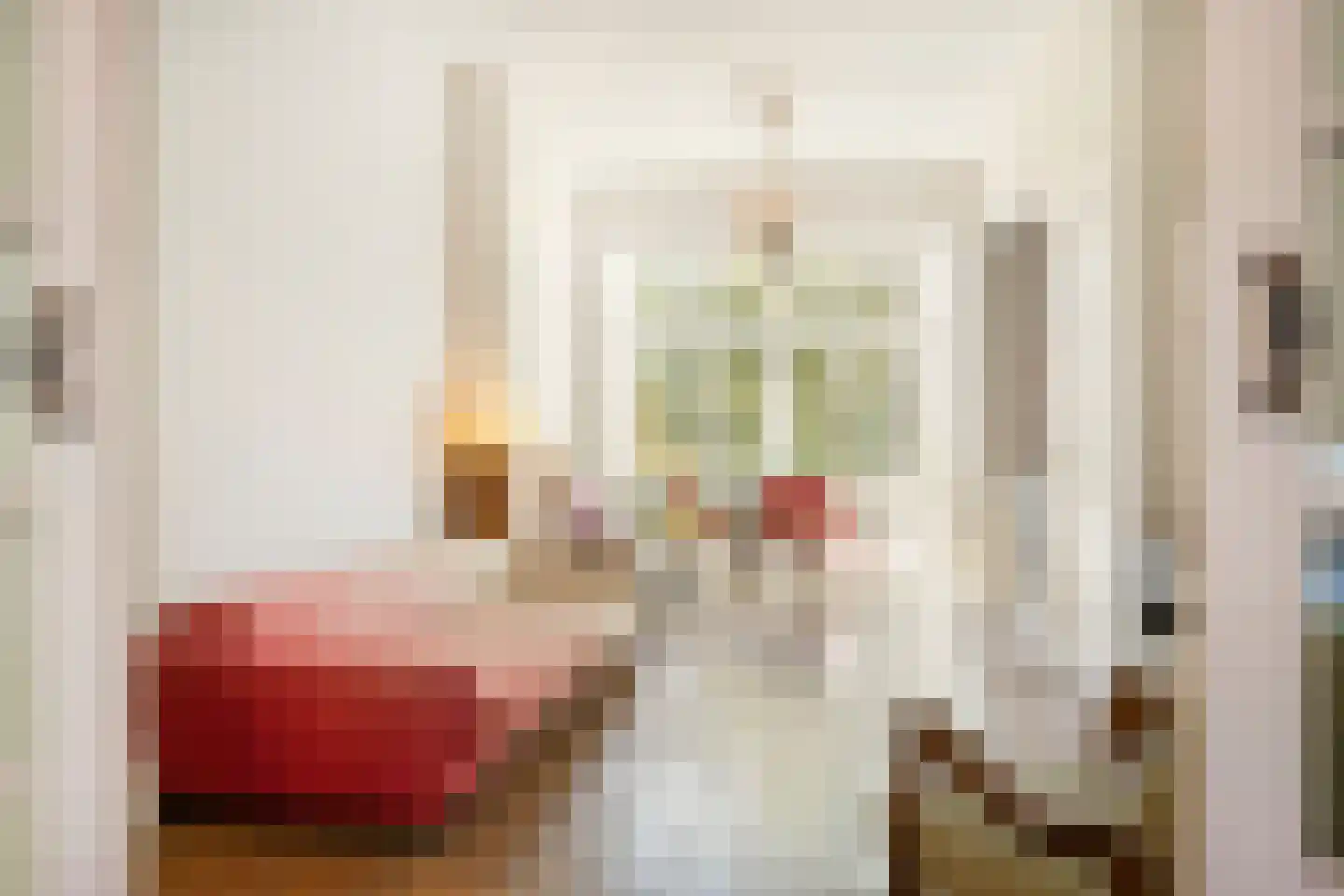 Alexanderstraat 96 Arnhem thumbnail 9