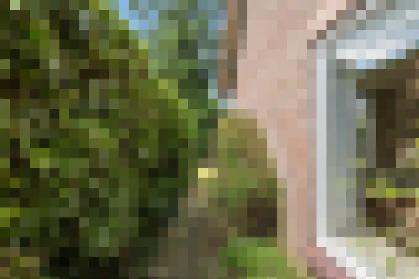 Alexanderweg 26 Bennekom thumbnail 12