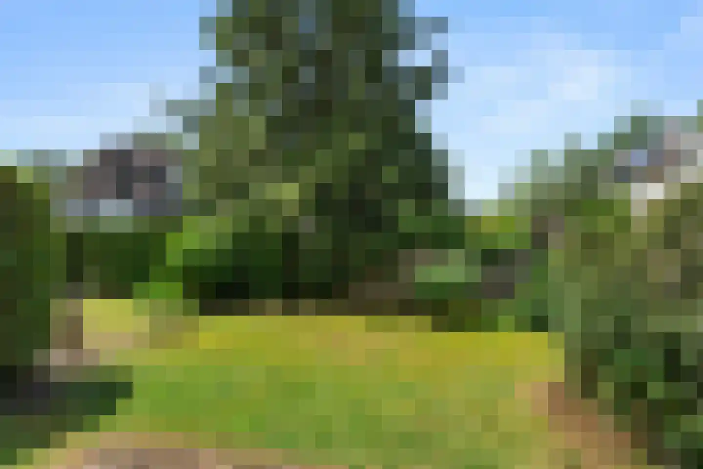 Alexanderweg 26 Bennekom thumbnail 13