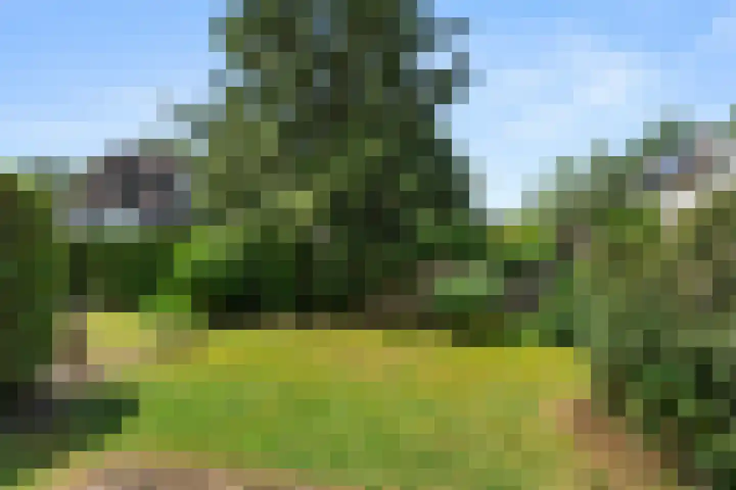 Alexanderweg 26 Bennekom thumbnail 4