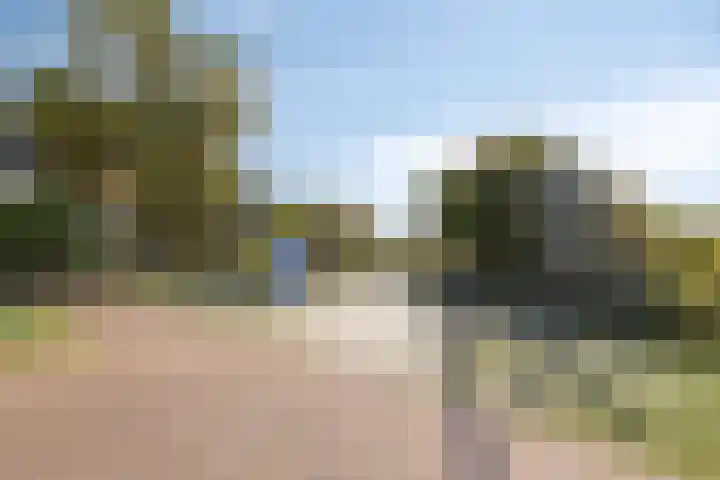 Alexandriëstraat 46 Purmerend thumbnail 24
