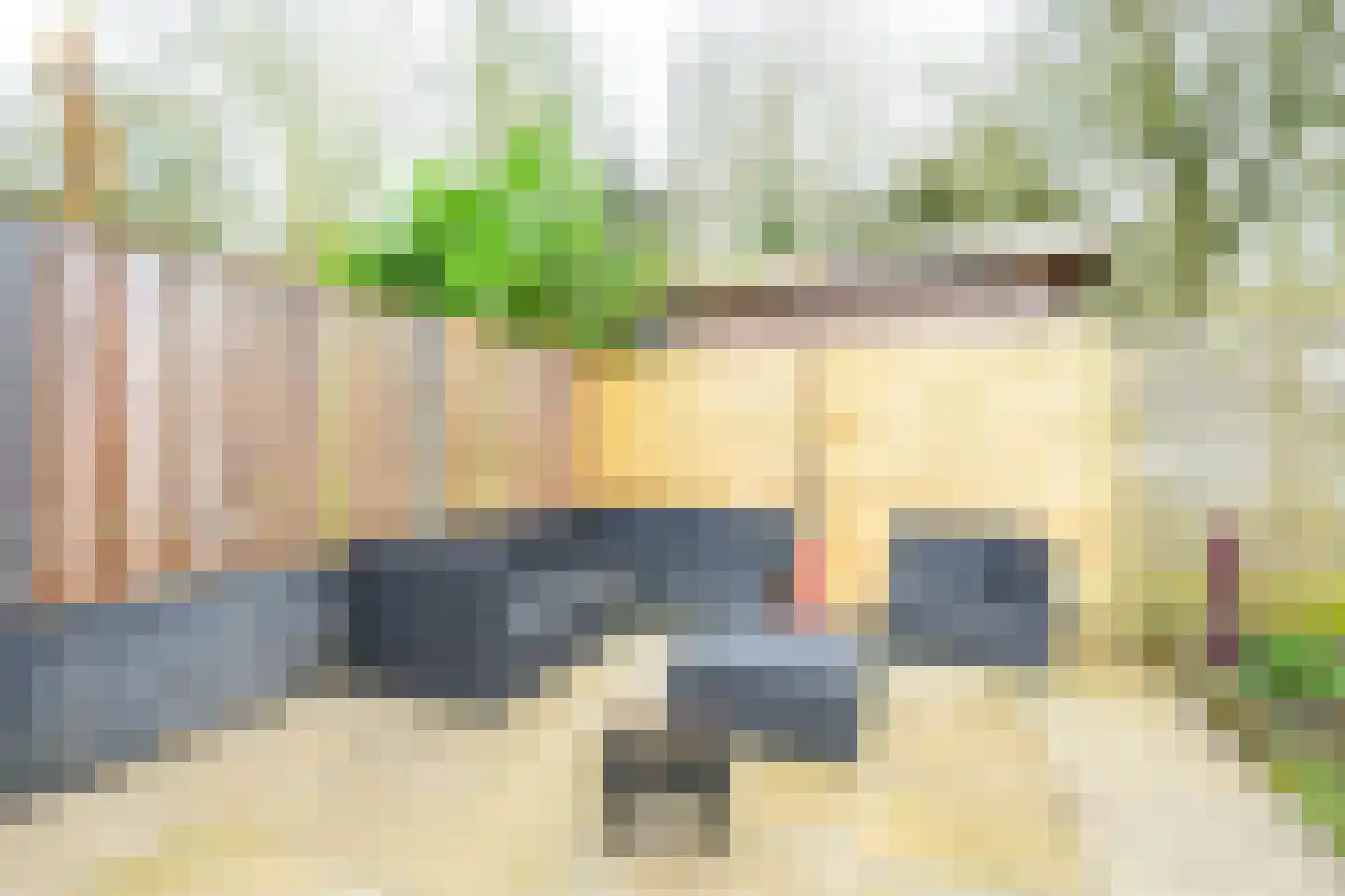 Alexandriet 10 Heerhugowaard thumbnail 26
