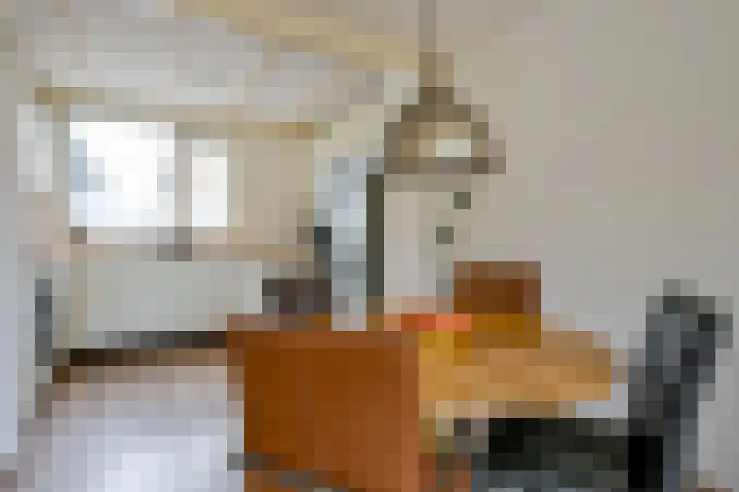 Alexandriet 10 Heerhugowaard thumbnail 5
