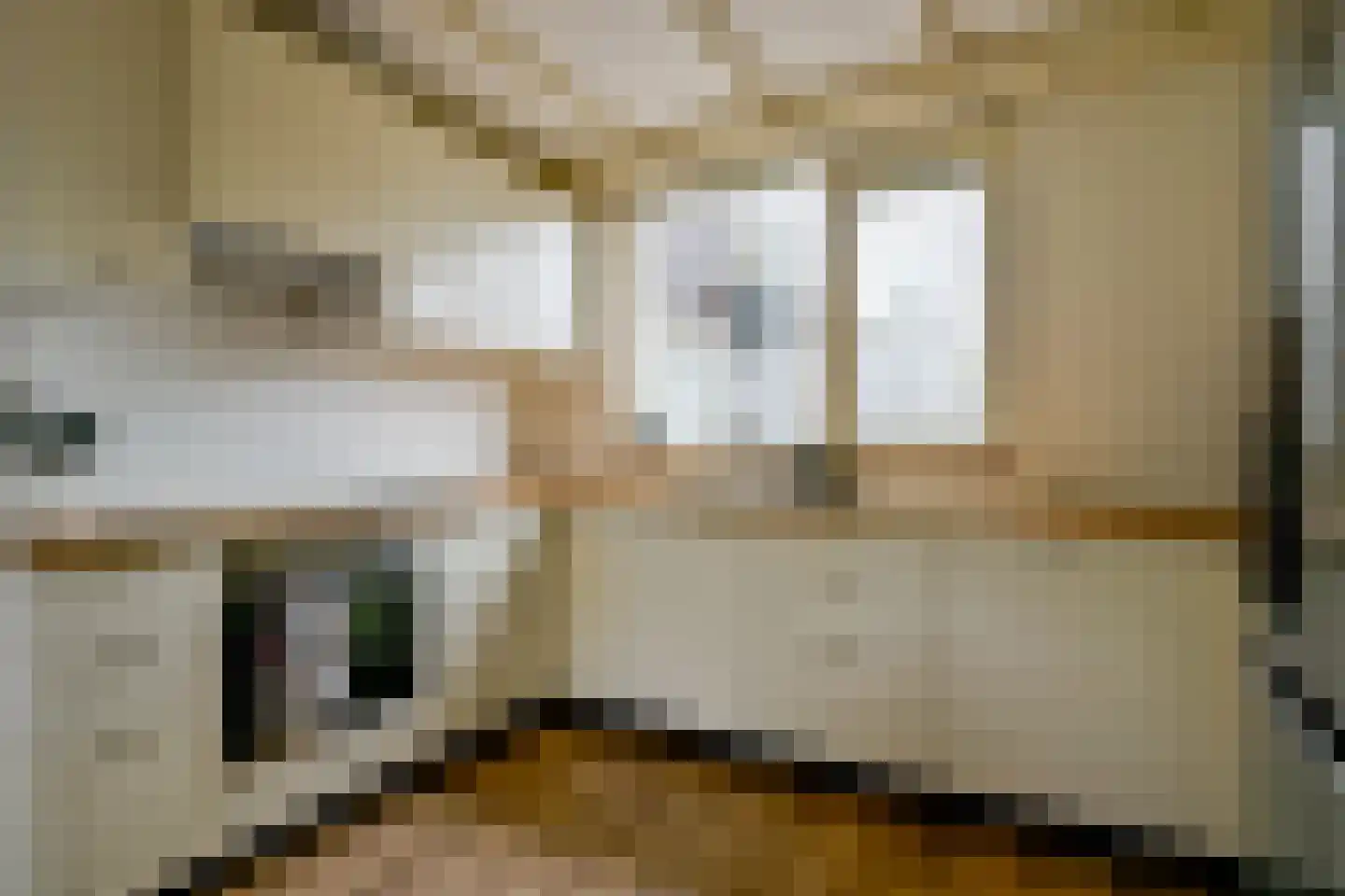 Alexandriet 10 Heerhugowaard thumbnail 6