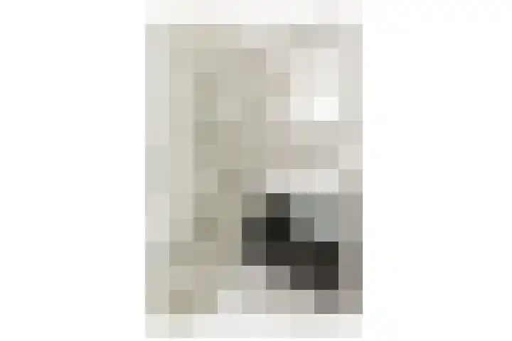 Alexandrine Tinnehof 12 Amsterdam thumbnail 21