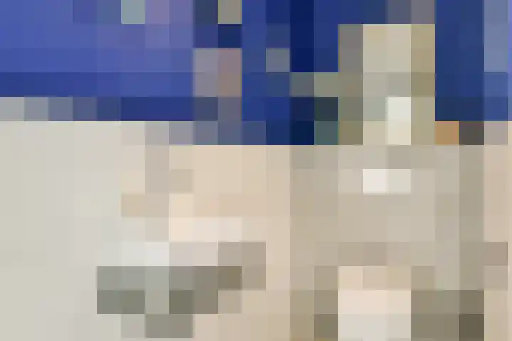 Alexandrine Tinnehof 12 Amsterdam thumbnail 22